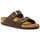 Sapatos Mulher Chinelos BIRKENSTOCK  Castanho