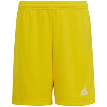 Textil Rapaz Calças curtas adidas Originals Entrada 22 JR Amarelo