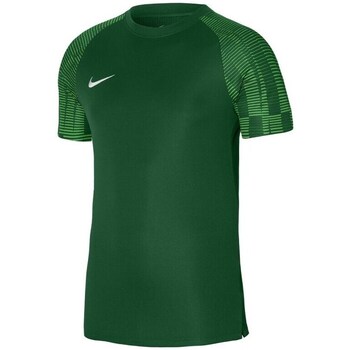 Textil Rapaz T-Shirt mangas curtas Nike plains Academy Verde
