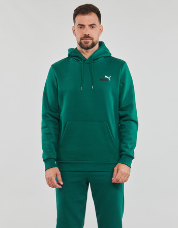 Textil Homem Sweats Puma disponible ESS  2 COL SMALL LOGO HOODIE FL Verde / Escuro