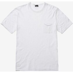 Textil Homem T-shirts e Pólos Blauer 38528-25804 Branco