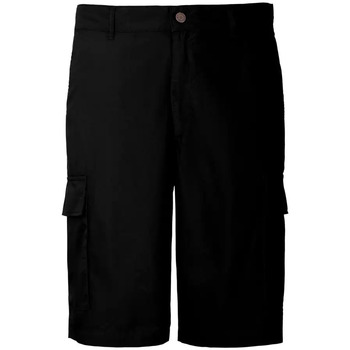 Textil Homem Shorts / Bermudas Brvn True Colors Black