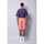 Textil Homem Shorts / Bermudas Brvn Duo Shorts 
