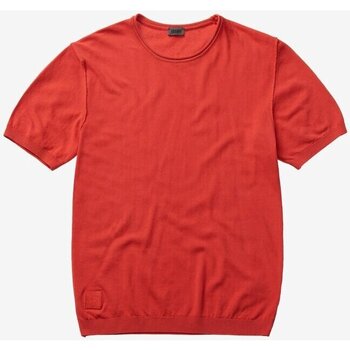 Textil Homem T-shirts e Pólos Blauer 38527-25802 Laranja