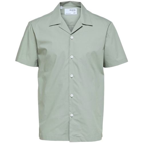 Textil Homem Camisas mangas comprida Selected Camisa Regmeo - Seagrass Verde