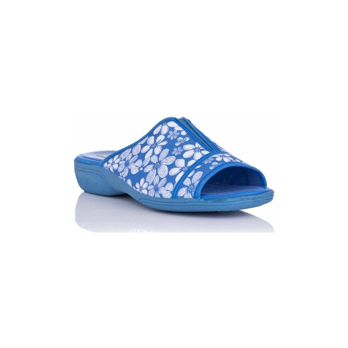 Sapatos Mulher Chinelos Roal 763 Azul