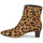 Sapatos Mulher Botins Lauren Ralph Lauren WILLA-BOOTS-BOOTIE Conhaque