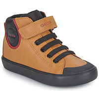 Sapatos Rapaz por correio eletrónico : at Geox J GISLI BOY F Castanho / Preto