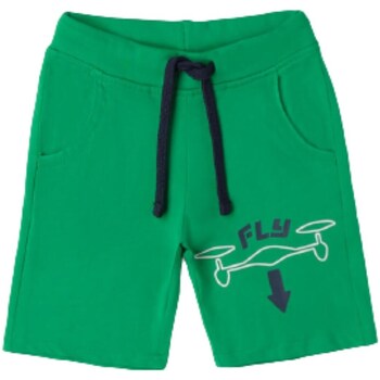Textil Mulher Shorts / Bermudas Ido 46012 Verde