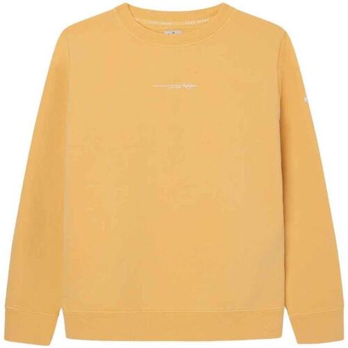 Textil Rapaz Sweats Pepe JEANS hoodie  Amarelo