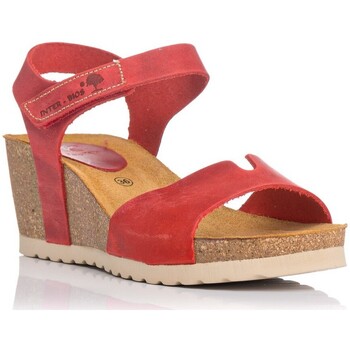 Sapatos Mulher Sandálias Interbios 5649 Vermelho