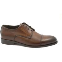 Sapatos Homem Richelieu Exton EXT-E23-1375-LE Castanho