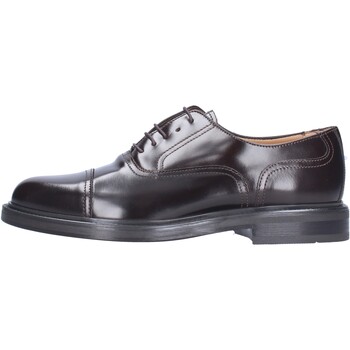 Sapatos Homem Sapatilhas Antica Cuoieria 12528 Castanho