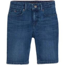 Textil Rapaz Shorts / Bermudas Tommy Hilfiger  Azul
