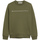 Textil Criança Sweats Calvin Klein Jeans IB0IB01295-LB6 Verde
