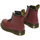 Sapatos Criança Sapatilhas Dr. Martens 15373601 Violeta