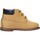 Sapatos Criança Sapatilhas Falcotto STAMBECCO-01-0G03 Amarelo