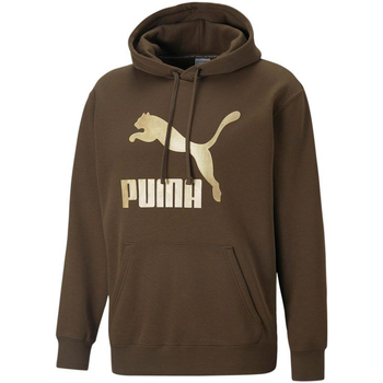 Textil Homem Sweats Puma Wns 537035-62 Verde