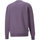 Textil Homem Sweats Puma 535671-61 Violeta