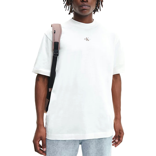 Textil Homem T-Shirt mangas curtas Calvin Klein Jeans J30J322507-YBI Bege