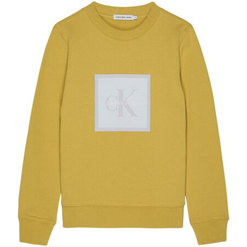 Textil Criança Sweats Calvin Klein Vit sweatshirt i mesh med logga IB0IB01571-ZAJ Amarelo