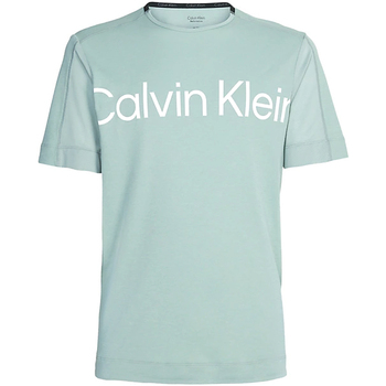 Textil Homem T-Shirt mangas curtas Calvin Logo Klein Jeans 00GMS3K102-LFW Verde