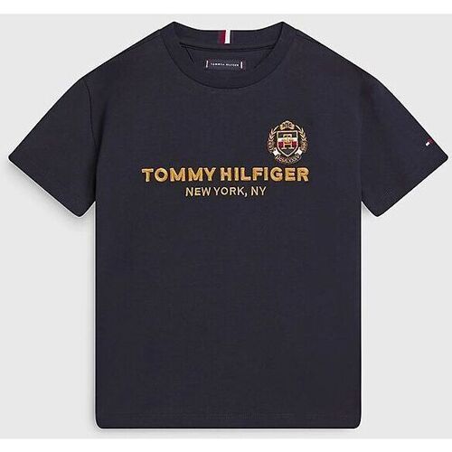 Textil Rapaz T-shirts e Pólos Tommy Hilfiger KB0KB08029-DW5 DESERT SKY Azul