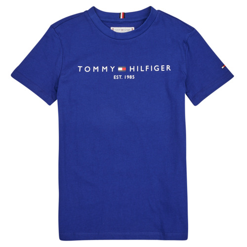 Textil Criança T-Shirt mangas curtas Tommy back Hilfiger ESTABLISHED LOGO Azul