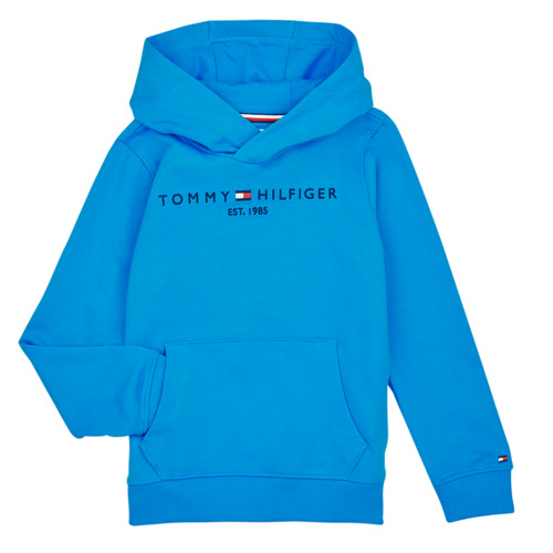 Textil Criança Sweats Tommy logo Hilfiger ESTABLISHED LOGO Azul