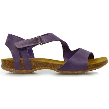 Sapatos Mulher Sandálias Interbios  Violeta