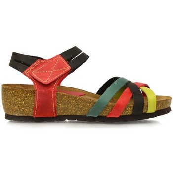 Sapatos Mulher Sandálias Interbios  Multicolor