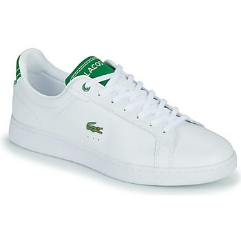 Sapatos Homem Sapatilhas Lacoste piqu CARNABY Branco / Verde