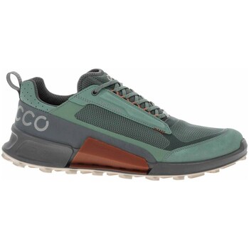 Sapatos Homem Sapatilhas Ecco Biom 21 X Mountain Verde, Cinzento