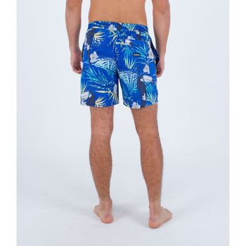Hurley MBS0011510 CANNONBALL VOLLEY 17-H4026 HYDRO Azul