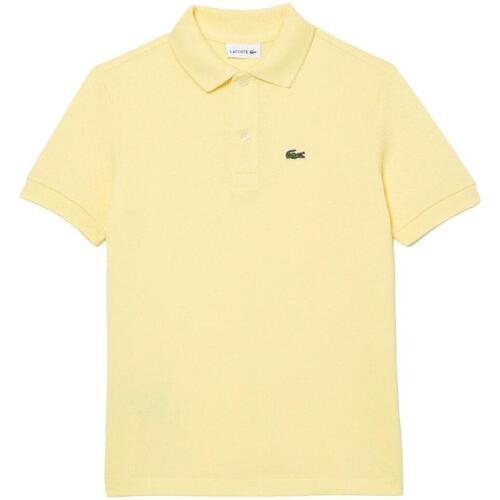 Textil Rapaz T-Shirt mangas curtas Lacoste rtel  Amarelo