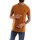Textil Homem T-Shirt mangas curtas Timberland TB0A2BPRP471 Laranja