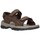 Sapatos Homem Sandálias Skechers 204105 CHOC Hombre Marron Castanho