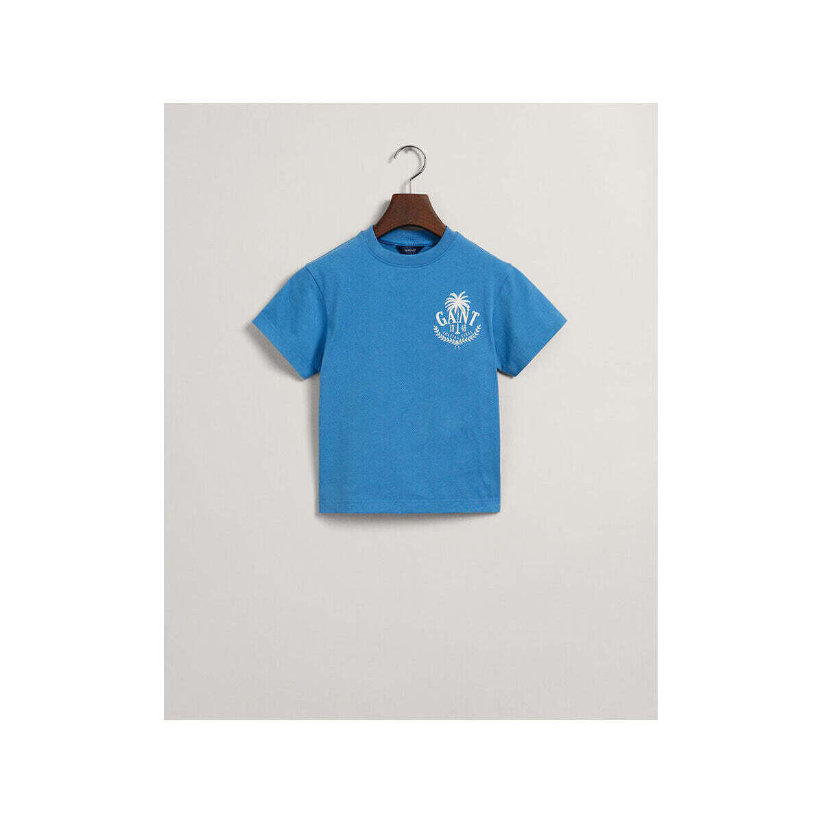 Textil Rapaz T-shirts Gray e Pólos Gant Kids 805176-471-3-17 Azul
