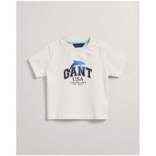Textil Rapaz Le Coq Sportif Gant Kids 505175-110-1-12 Branco