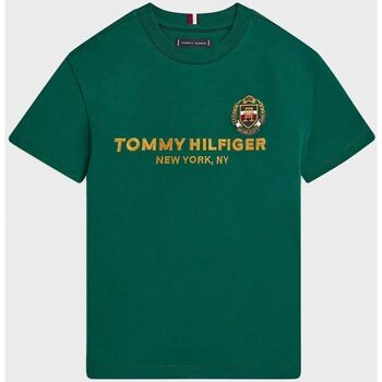 Textil Rapaz T-shirts e Pólos Tommy Hilfiger KB0KB08029-L40 PREO GREEN Verde