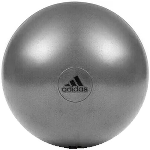 Acessóbasketball Homem Acessóbasketball de desporto adidas Originals PRAADBL11246GR Cinza