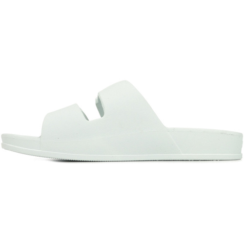 Cacatoès Bango Branco