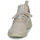Sapatos Homem Sapatilhas Adidas Sportswear KAPTIR 3.0 Bege