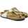 Sapatos Homem Sandálias Birkenstock Gizeh bf Ouro