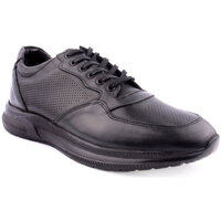 Sapatos Homem Sapatos Bracci M Shoes Comfort Preto