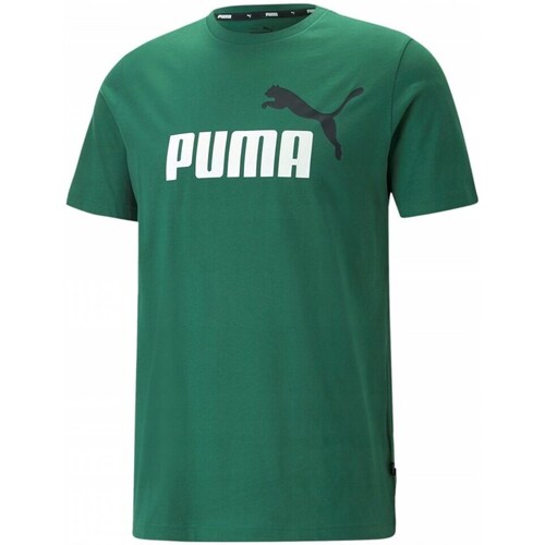 Textil Homem T-Shirt mangas curtas Puma Ess 2 Col Logo Tee Verde