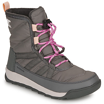 Sapatos Rapariga Botas de neve Sorel YOUTH WHITNEY II SHORT LACE WP Cinza / Rosa