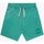 Textil Homem Shorts / Bermudas Reebok Classics Non Dye Women's Track Pantsall JM4035.2014G46-108 Verde