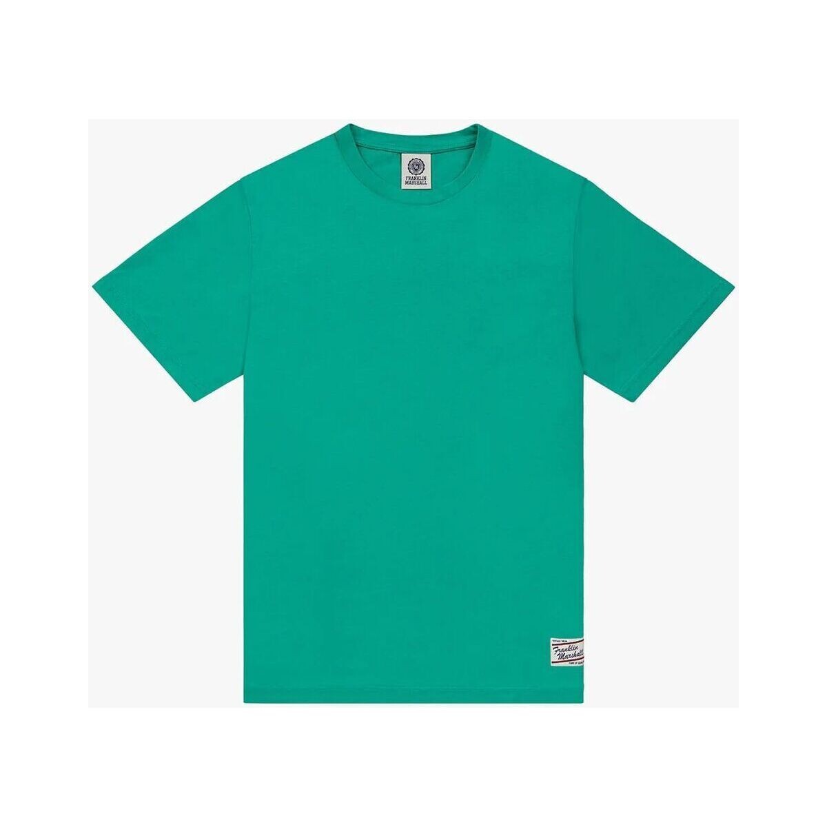 Textil Homem T-shirts e Pólos Franklin & Marshall JM3180.1009P01-108 Verde