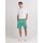 Textil Homem Shorts Green / Bermudas Franklin & Marshall JM4035.2014G46-108 Verde